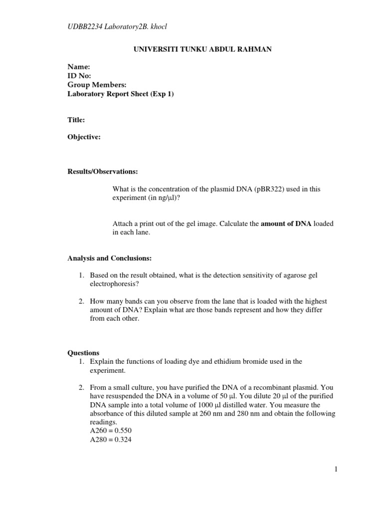 Plasmid DNA Concentration Lab Report | PDF