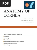 Anatomy of Cornea My