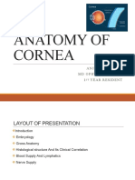 Anatomy and Histology of the Cornea
