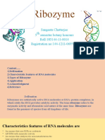 Ribozyme Catalytic RNA