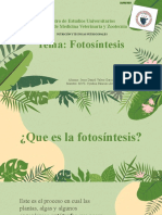 Fotosintesis