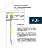 Estratigrafía