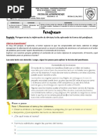 Sem 9 - 4º - Ficha Parafraseo 21-06-21