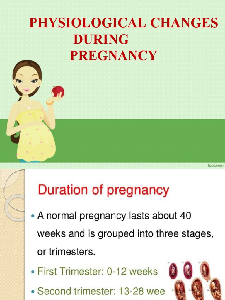 Physiological Changes in Pregnancy | PDF | Uterus | Vagina