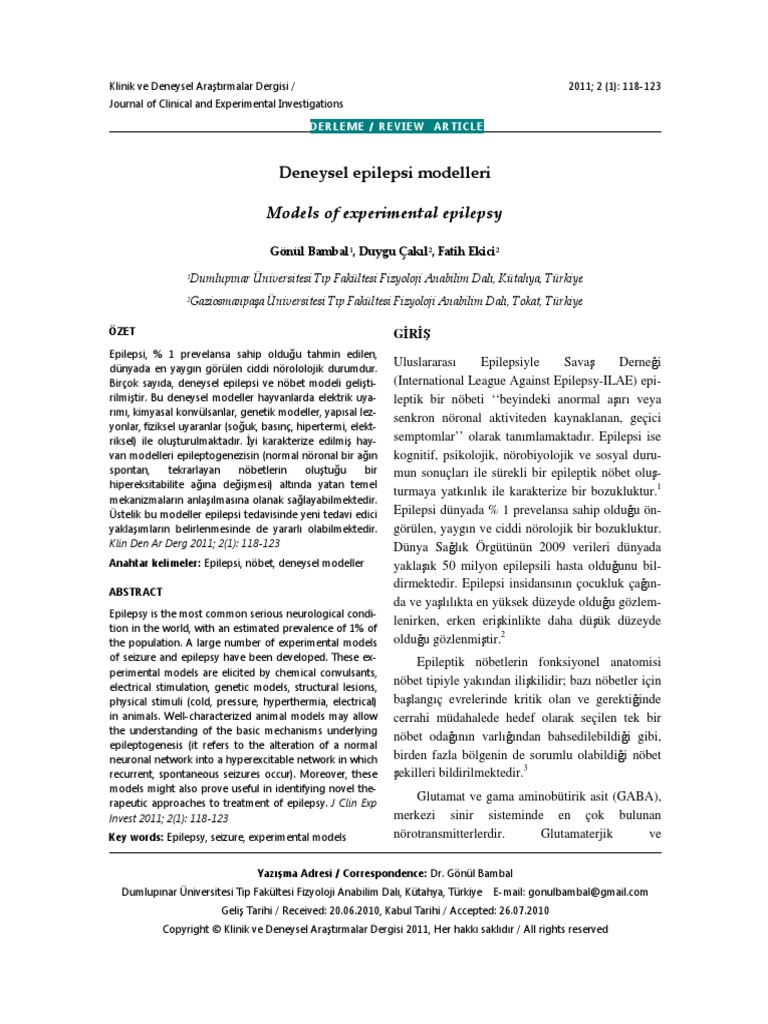 Models of Experimental Epilepsy 3193 | PDF