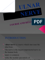 Ulnar Nerve: Course and Re Lation