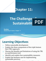 Chapter 11 - The Challenge of Sustainability