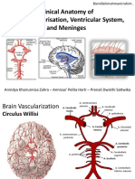 Clinical Anatomy of Brain Vascularisation Ventricular System and Meninges
