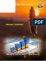 Corporate Finance: Project Report