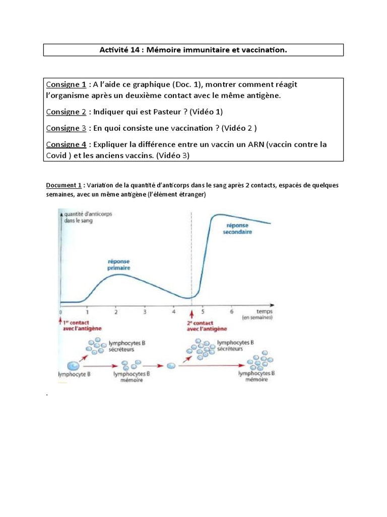 Mémoire immunitaire et vaccination | PDF | Développement personnel ...