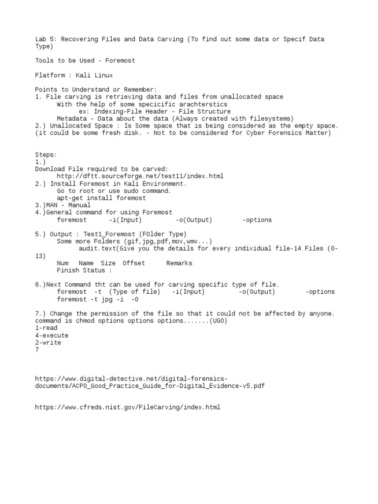 Lab 5 Cyber Forensics | PDF | Computers
