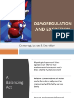 Osmoregulation & Excretion