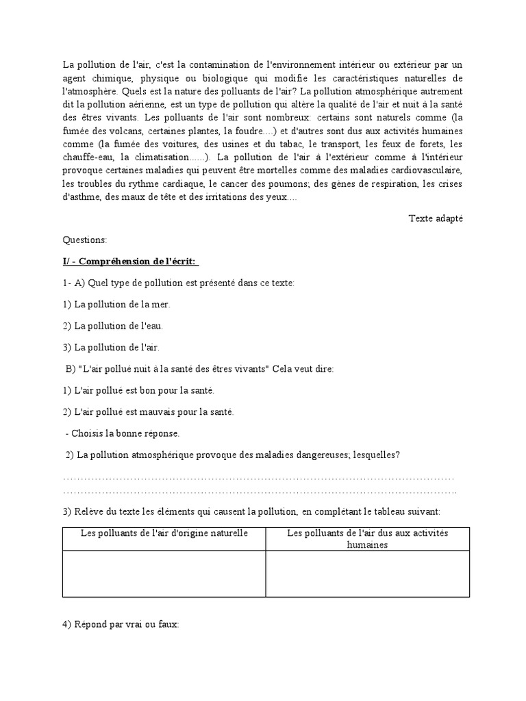 Pollution de l'air : causes et conséquences | PDF | la pollution ...