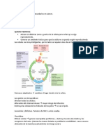 CL2 Tratamientos y Efectos Secundarios en Cáncer