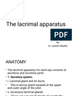 The Lacrimal Ap