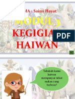 Kegigian Haiwan