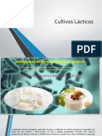 Cultivos Lacticos