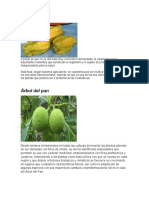 Geociencia, Frutas Del Pacifico Colombiano