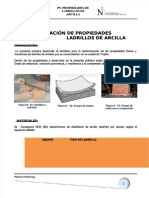 PDF Ladrillos DD