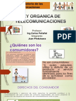 PPT-CONSUMIDOR