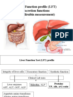 Liver Function Profile (LFT) Excretion Functions (Bilirubin Measurement)