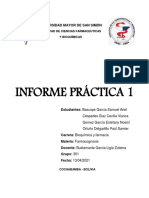 Informe 1