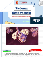 Aparato Respiratorio