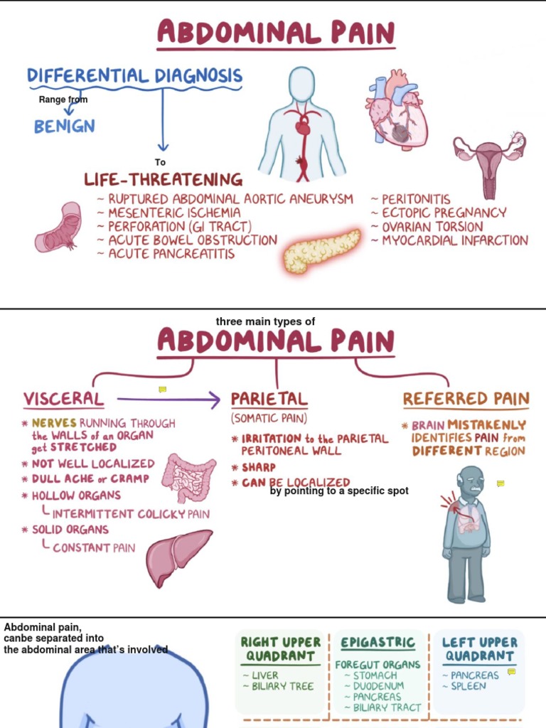 6.1c Clinical Reasoning Abdominal Pain | PDF