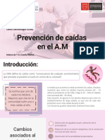 Prevención de Caídas PDF