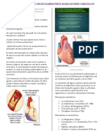 9 - Enzimas Cardíacas y Musculares