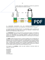 Libro Quimica Vallejo 4