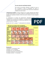 Tablas de Valoración Del Recién Nacido (Materno I)