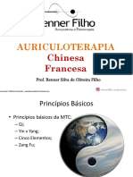Ebook Auriculoterapia