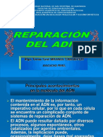 REPARACIÓN DE ADN8