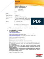 Sesion de Aprendizaje 11 (21 de Junio 2021) Ciencia y Tecnologia