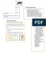 AEDES AEGIPTY Resumen