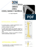 Radiologia Mmss - Codo