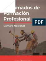 Cámara Nacional Perú 1 (1)