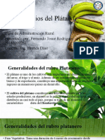 Rubro Agropecuario-Platano