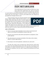 Protein Metabolism