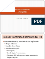 NSTH-Enterobius