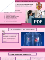 Anatomia PPT Termiando