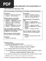 Advantages-Disadvantages Essay : Advantages, But Then Reduce The Amount of Support For Each Advantage