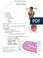 Digestive System Histology Guide