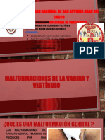 Malformaciones de La Vagina y Vestíbulo