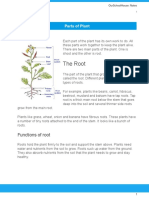 The Root: Parts of Plant