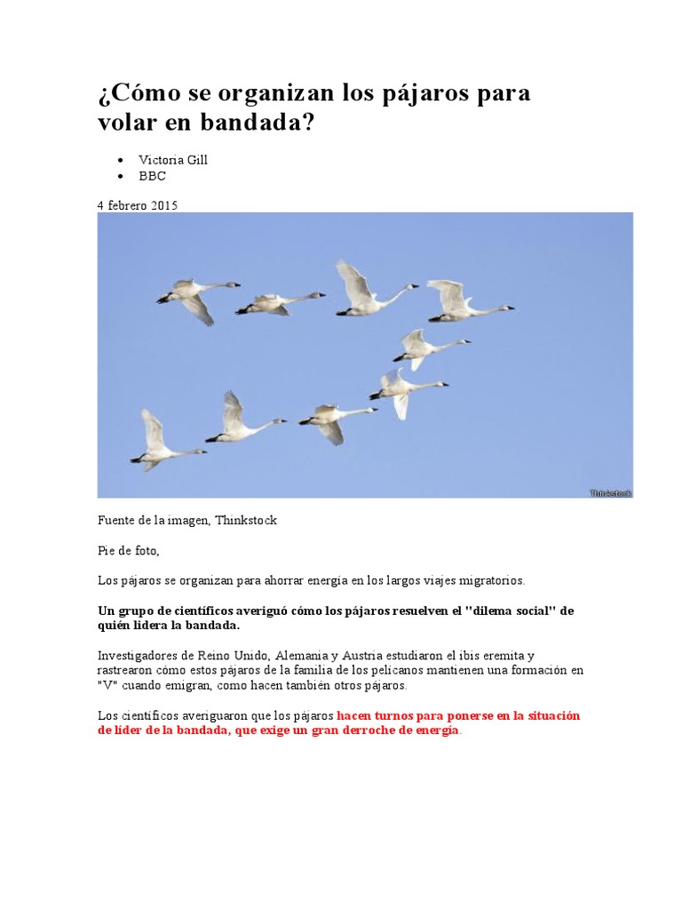 Liderazgo Rotativo | PDF, image size:768x1024