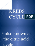 Krebs Cycle