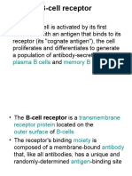 B-Cell Receptor: Plasma B Cells Memory B Cells