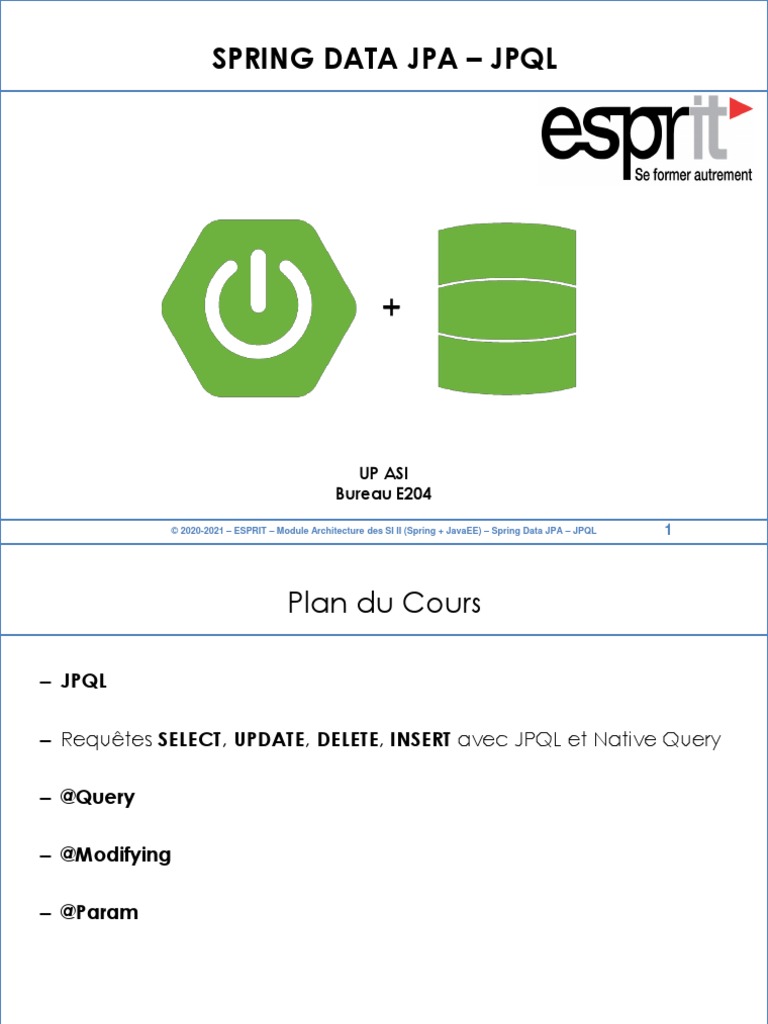 8 - Spring Data JPA - JPQL | PDF | SQL | Modèle de données